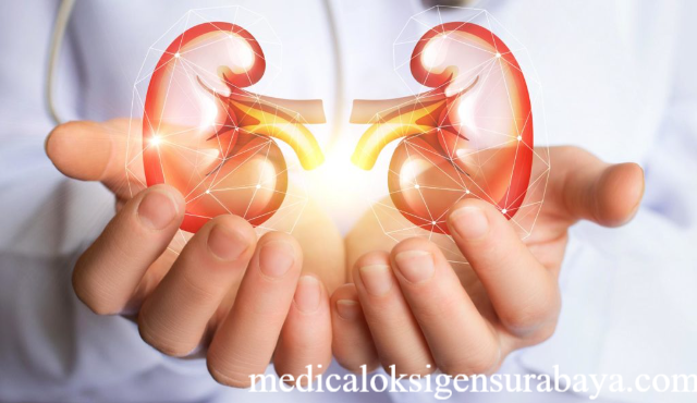 Rahasia Menjaga Ginjal Sehat dan Tetap Aktif